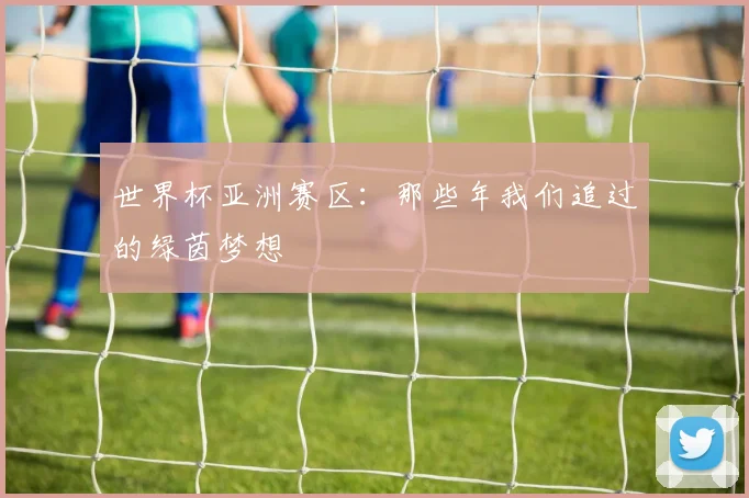 世界杯亚洲赛区:那些年我们追过的绿茵梦想