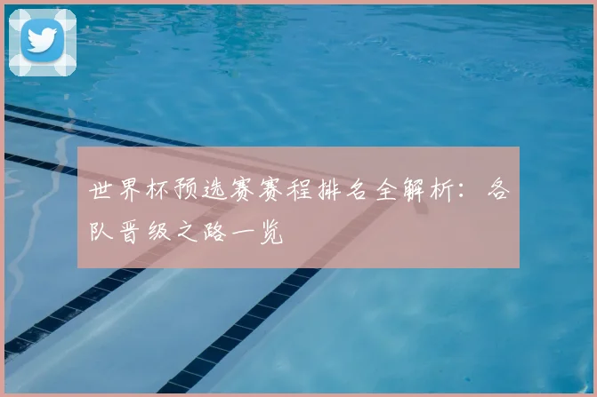 世界杯预选赛赛程排名全解析:各队晋级之路一览