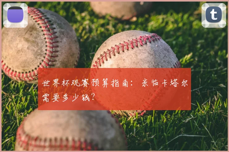 世界杯观赛预算指南:亲临卡塔尔需要多少钱?